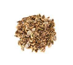 DILL SEEDS